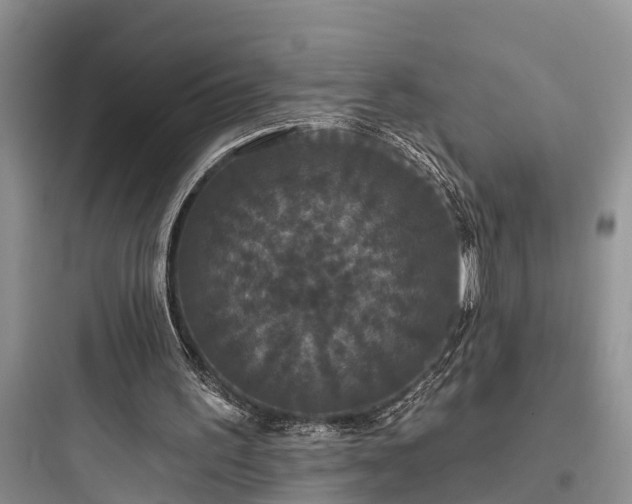 X0000097910195200803211512