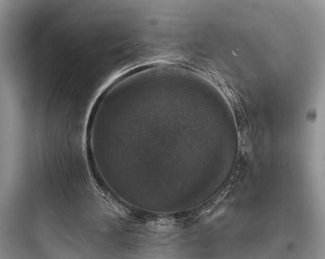 X0000097910196200803211512