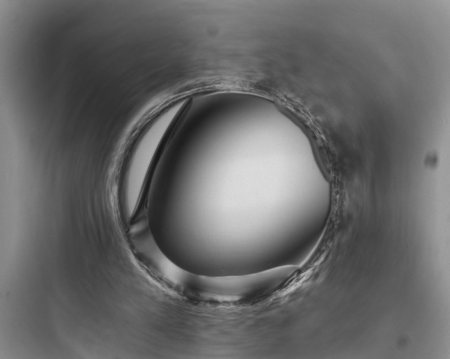 X0000097910197200803211512