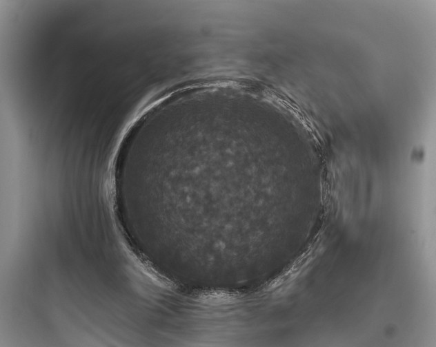 X0000097910198200803211512