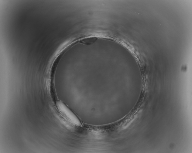 X0000097910199200803211512