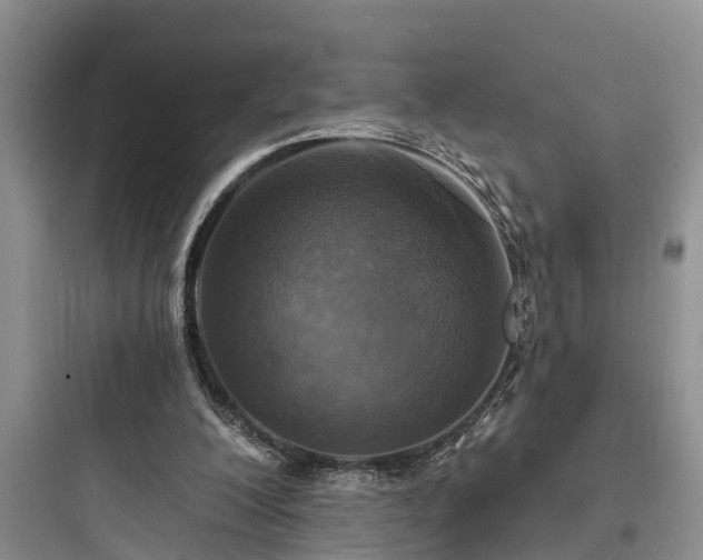 X0000097910200200803211512