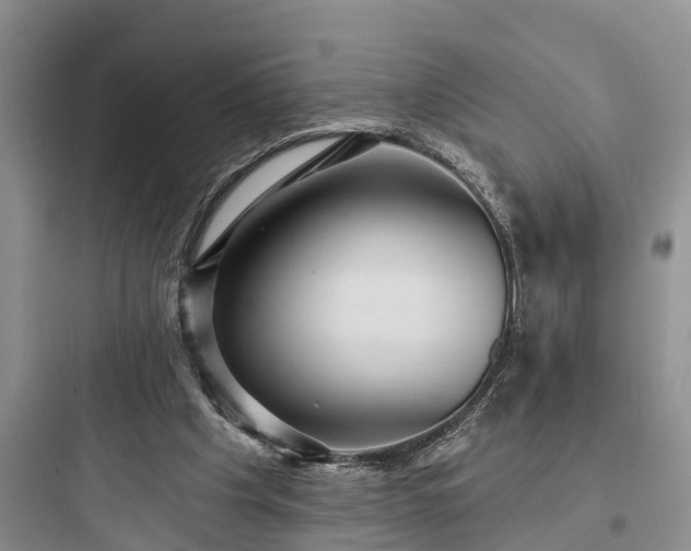 X0000097910201200803211512