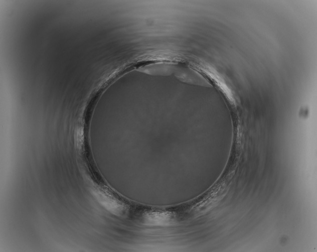 X0000097910202200803211512