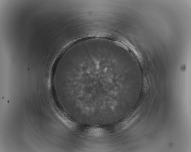 X0000097910203200803211512