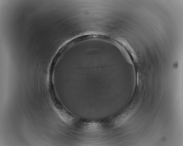 X0000097910204200803211512