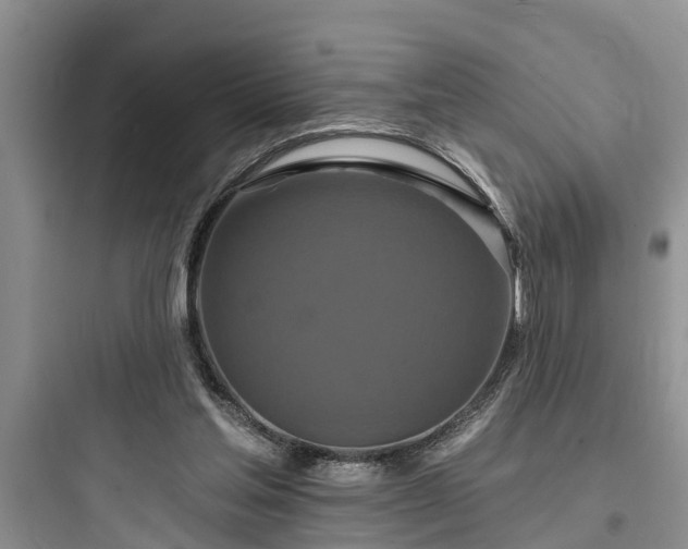 X0000097910205200803211512