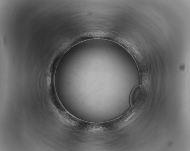 X0000097910206200803211512