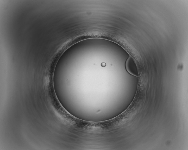 X0000097910208200803211512