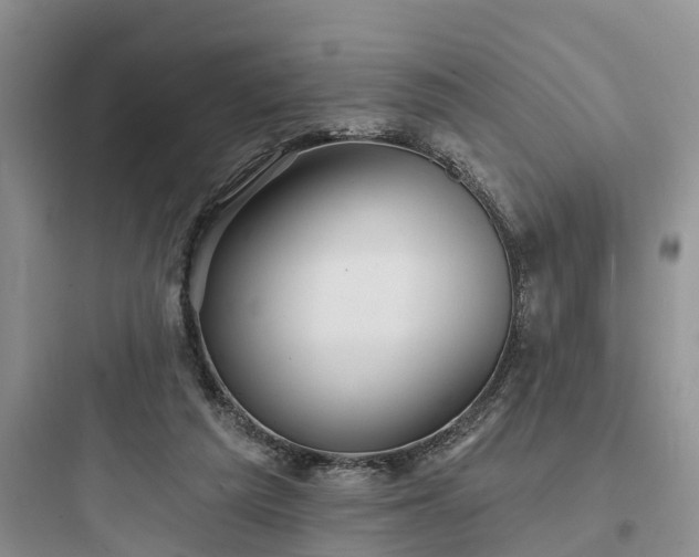 X0000097910209200803211512