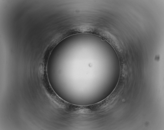 X0000097910210200803211512