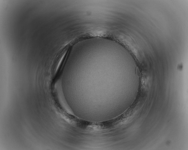 X0000097910211200803211512