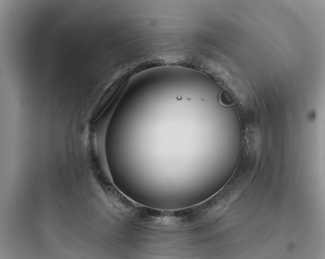 X0000097910212200803211512