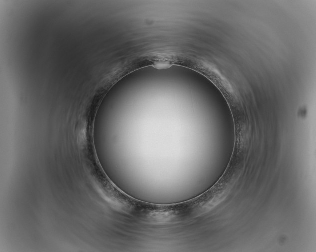 X0000097910213200803211512