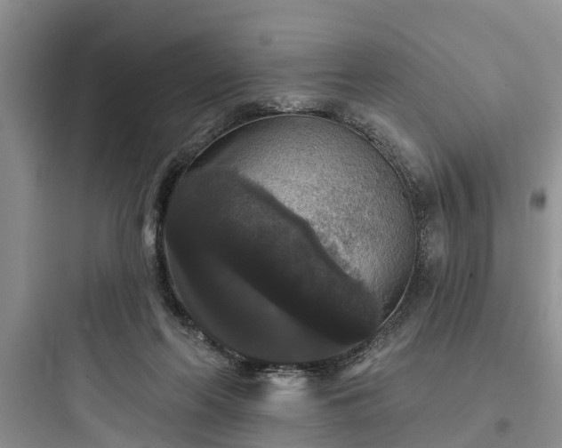 X0000097910214200803211512