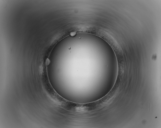 X0000097910216200803211512