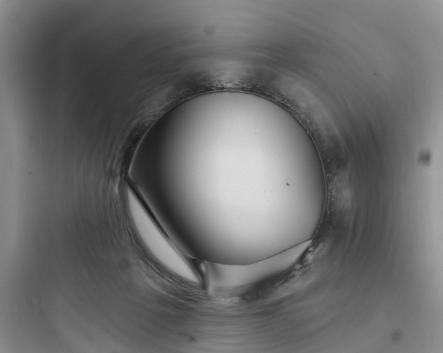 X0000097910217200803211512