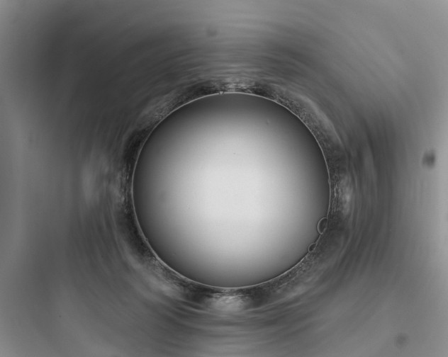 X0000097910218200803211512