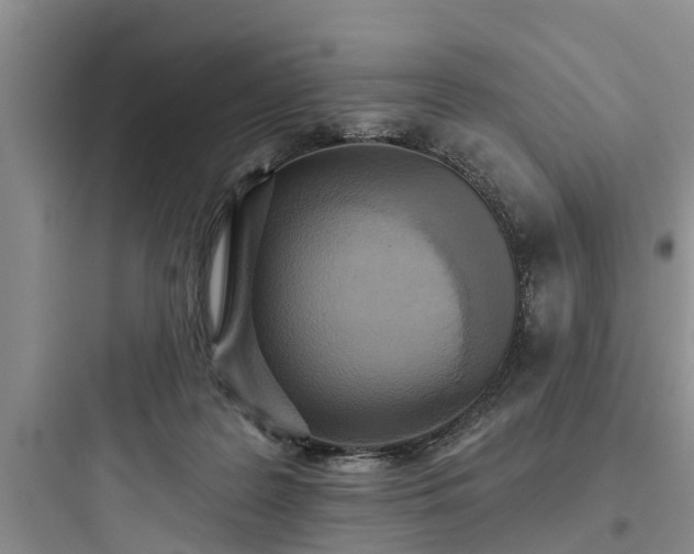 X0000097910219200803211512