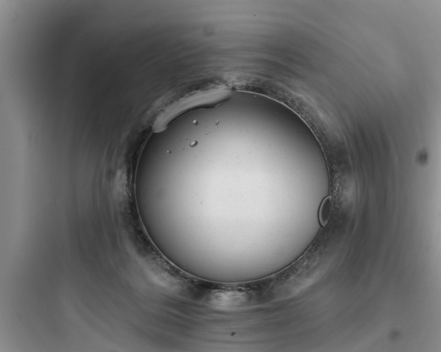 X0000097910220200803211512