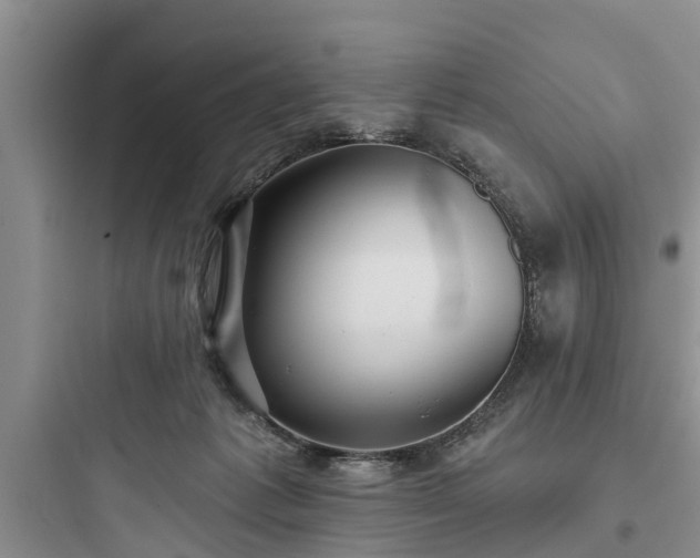 X0000097910221200803211512