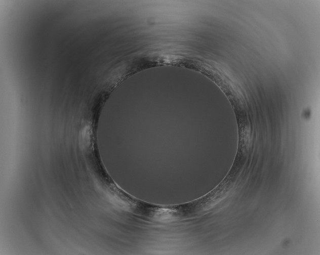 X0000097910222200803211512