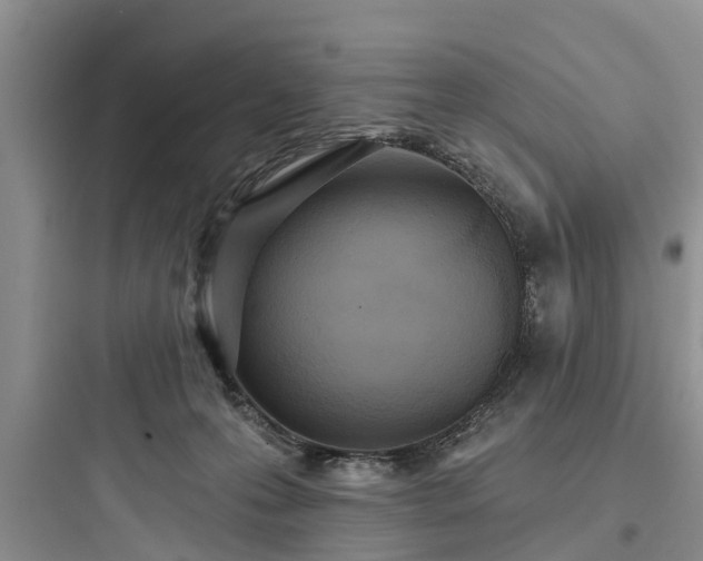 X0000097910223200803211512