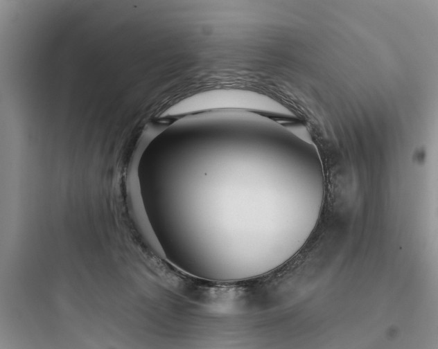 X0000097910225200803211512