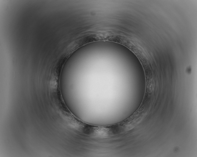 X0000097910226200803211512