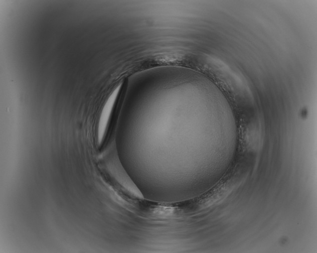 X0000097910227200803211512