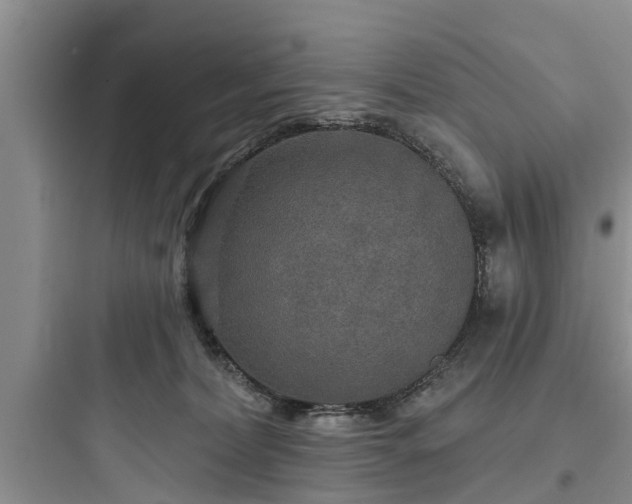 X0000097910228200803211512