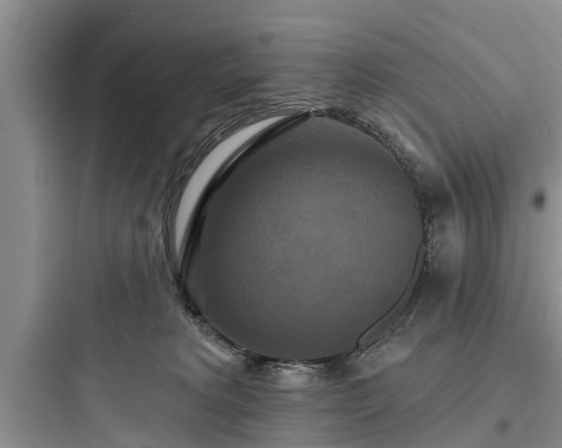 X0000097910229200803211512