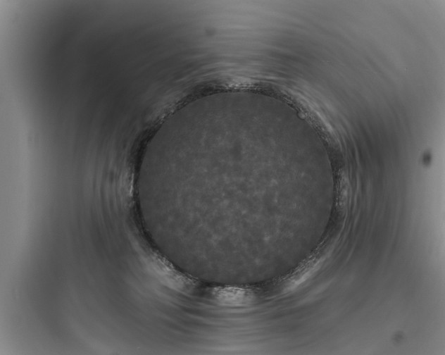 X0000097910230200803211512