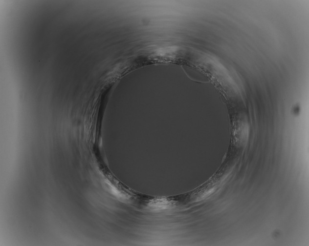 X0000097910231200803211512