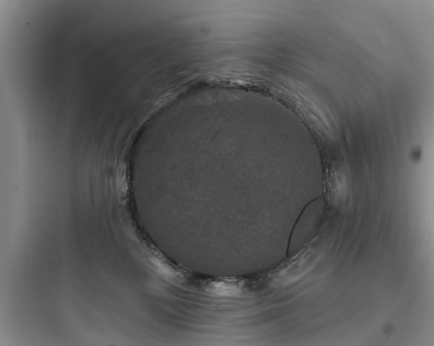 X0000097910232200803211511