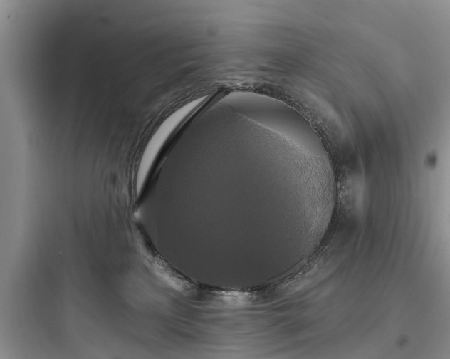 X0000097910233200803211511