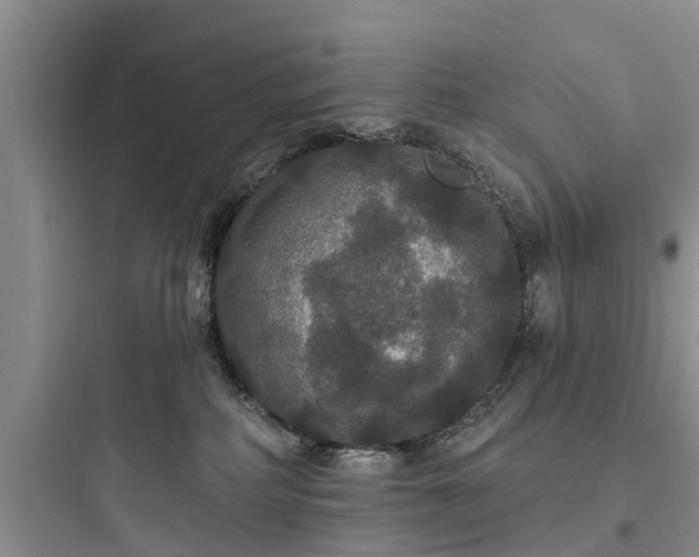 X0000097910234200803211511