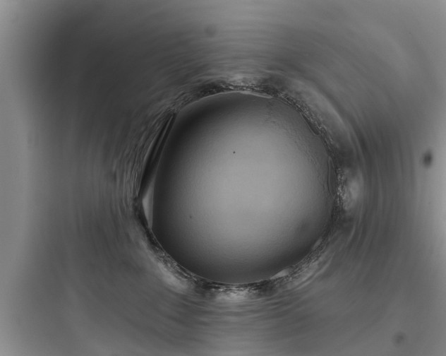 X0000097910235200803211511