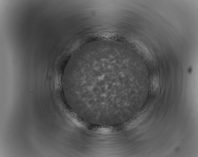 X0000097910236200803211511