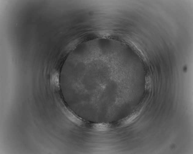 X0000097910238200803211511