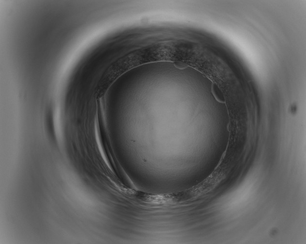 X0000097910239200803211511