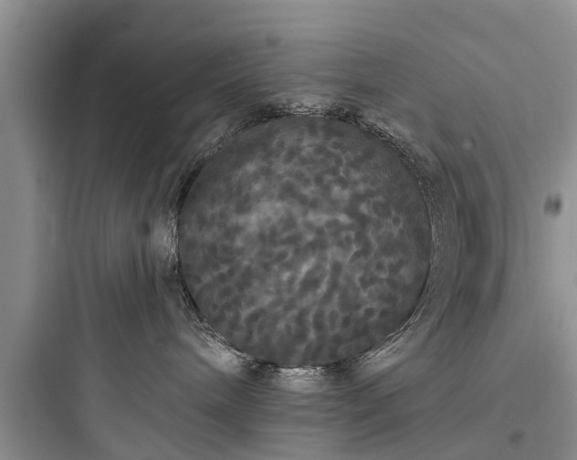 X0000097910240200803211511