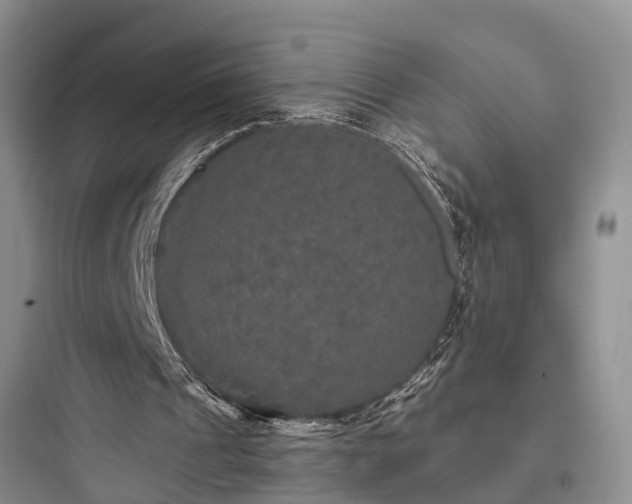 X0000097910241200803211511