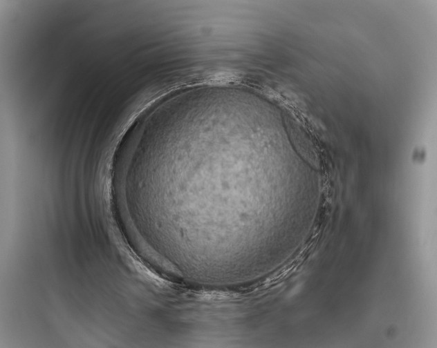 X0000097910242200803211511