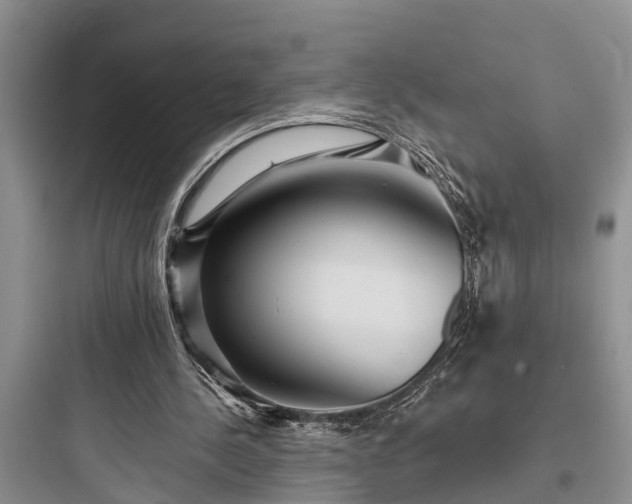 X0000097910244200803211511