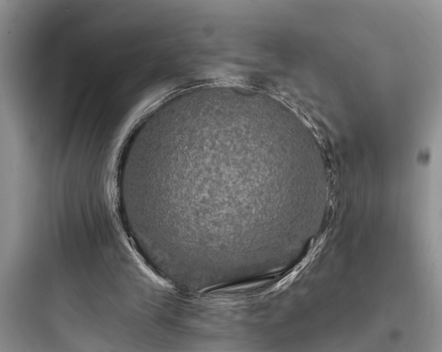 X0000097910245200803211511