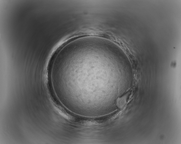 X0000097910246200803211511