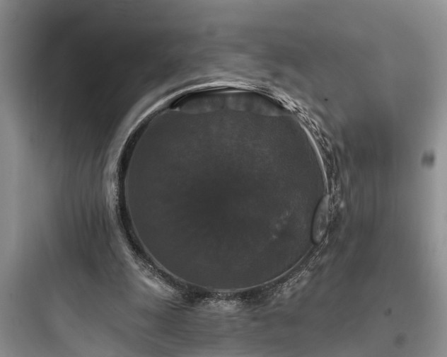 X0000097910247200803211511