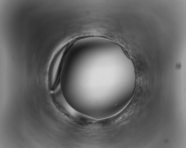 X0000097910248200803211511