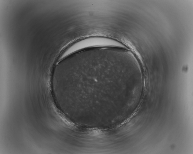 X0000097910249200803211511